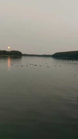 The video shows a serene lake with a hazy sky. A flock of ducks is swimming in the water. The sun is visible in the distance, reflecting on the water's surface. Trees line the shore of the lake. The overall impression is one of tranquility and nature.
