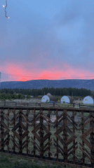 Rural Russian village life: dog feeding, sunset, family moments