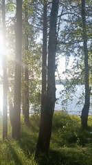 Woman takes lakeside selfie on wooden boardwalk in Chaikovsky