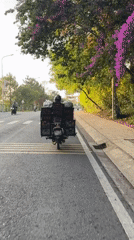 Motorbike carries produce cargo on Da Lat road