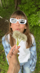 Women enjoy casual woodland outing with dandelions and photos