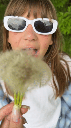 Women enjoy casual woodland outing with dandelions and photos
