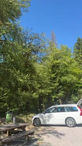 A white Volvo station wagon is parked on a gravel shoulder next to a wooden picnic table. The car's trunk is open, revealing the interior. Behind the car, a steep, tree-covered hill rises under a clear blue sky. In the foreground, to the left of the picnic table, a plastic bottle rests on the ground. The scene is surrounded by lush green trees and foliage, with a pile of cut logs visible in the background near the base of the hill. The video pans slightly to the right, showing more of the forest and the blue sky. The shot then shifts to a white camper van parked on the same gravel shoulder, also with a wooded hill in the background. The camper van is facing the left, and a stack of logs is visible to its right. The video continues to pan right, showing more of the dense forest and the sky.
