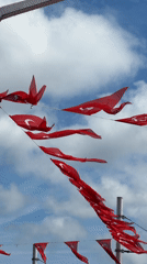 Beyoğlu street life: flags, minarets, fountains, and chestnuts