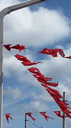 Beyoğlu street life: flags, minarets, fountains, and chestnuts