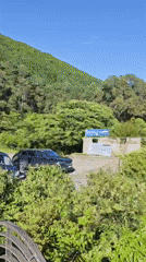 Eagle spotted, abandoned equipment documented in Gagra coastal survey
