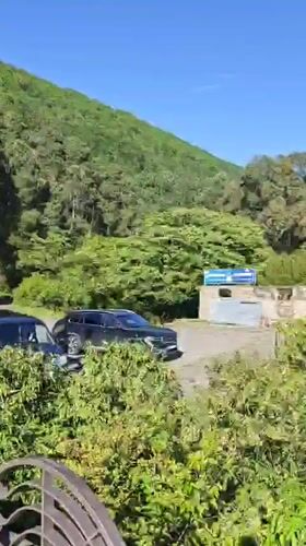Eagle spotted, abandoned equipment documented in Gagra coastal survey