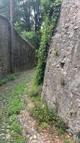 This media file depicts a cobblestone pathway winding through a narrow passage bordered by old stone walls. The wall on the right is heavily draped in lush green ivy, creating a dramatic, textured contrast with the rough stone. The wall on the left is also stone, appearing more weathered and less overgrown, with a dark, vertical pole extending upwards near its base.

The pathway is uneven, covered in cobbles of varying sizes, with grass and weeds growing in the cracks and along the edges, suggesting a somewhat untamed, natural setting. In the distance, the pathway curves out of view, leading into a more densely vegetated area with mature trees visible, their branches creating a canopy overhead. The overall impression is one of a secluded, historic, or perhaps slightly overgrown pathway in an outdoor setting.

The lighting suggests it is daytime, likely overcast or with diffused sunlight, as there are no harsh shadows. The greenery is vibrant, indicating a season with ample rainfall, possibly spring or summer. The stone structures hint at an older, possibly European setting, reinforced by the location context of Varese, Italy. There are no people or animals visible in the frame. The scene evokes a sense of quietude and a touch of rustic charm, inviting exploration further down the path. No visible text is present in the media file.