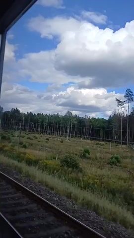 The video shows a view from inside a train car as it travels along a railway track. Outside the window, a landscape unfolds with a railway track in the foreground. Beyond the track, there is a field of dry, sparse grass and scattered dead trees, with a dense forest in the background. The sky above is blue with fluffy white clouds. The train is moving, indicated by the blur of the passing scenery. The perspective is from a window on the left side of the train.