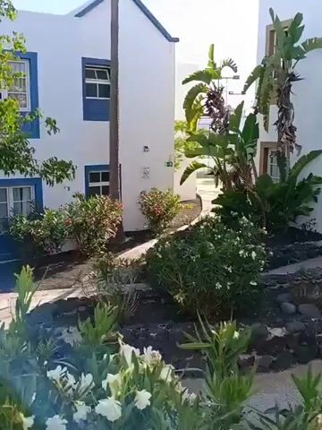 The video showcases a bright, sunny day at a resort or residential complex in Tías, Spain. The scene features multiple two-story buildings, predominantly white with contrasting blue window frames and trim, giving them a distinct Mediterranean architectural style. Some buildings also incorporate light beige or cream-colored sections.

Lush green landscaping fills the foreground and surrounds the buildings, including various bushes, small trees, and palm-like plants. The ground cover consists of dark volcanic rock or mulch in garden beds, interspersed with light-colored paved pathways and sidewalks.

At the 0:04 mark, a light beige building comes into view, featuring a set of terracotta-tiled stairs leading up to an entrance. Adjacent to these stairs, a cartoon-like brown dog figure is depicted on the wall, accompanied by the text "Mini Club" on a small sign. Further along, a white, slatted gate and black path lights are visible. The overall impression is one of a well-maintained, tranquil holiday environment. There are no people visible, and no specific activities or events are taking place beyond the filming itself. The time of day is clearly daytime, with bright sunlight and a clear sky.