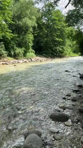 A wide, shallow river flows towards the right of the frame. The riverbed is visible through the murky water in places, showing brown and gray stones. The banks of the river are lined with smooth, rounded stones in the foreground. Lush green trees with dense foliage line the riverbanks on both sides, forming a natural corridor. The sky is visible in the upper portion of the frame, with patches of blue and white clouds peeking through the leaves. The overall impression is a serene and natural landscape.