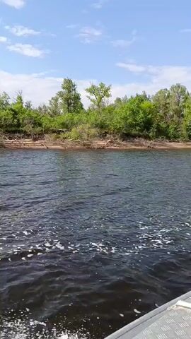 The video is a first-person perspective shot from a boat moving through dark water. The boat's bow is visible in the lower right corner of the frame. On the left side of the frame, the water is disturbed, showing a wake behind the boat with white foam. In the background, across the river, is a tree-lined bank with lush green foliage and scattered debris on the shore, possibly fallen trees. The sky is blue with scattered white clouds. The video appears to have been filmed during the daytime.
