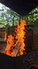 Backyard grill fire and garden blooms in Il'inskiy