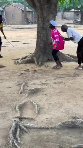 In a dusty, unpaved outdoor setting in Tabu, Nigeria, a group of people are engaged in a lively game or chase around a large tree with prominent exposed roots.

Initially, a person wearing a pink jersey with "QUEEN" and "10" printed on it, black leggings, and a white head covering is seen holding a small yellow object, possibly a fruit or ball. Another person in a white t-shirt and dark pants playfully pushes the individual in pink. Both are laughing and appear to be enjoying themselves.

As the video progresses, the person in pink runs away from the tree, followed by the person in white. Other individuals quickly join the scene, running past the tree. One person is visible in a yellow and blue shirt, carrying a stick as they run. The overall atmosphere is one of playfulness and joy, indicative of a community activity or children's game. Simple buildings are visible in the background, suggesting a village or rural environment. The ground is dry and earthen.