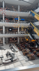 Shopping mall documentation captures architecture, art, cityscape views