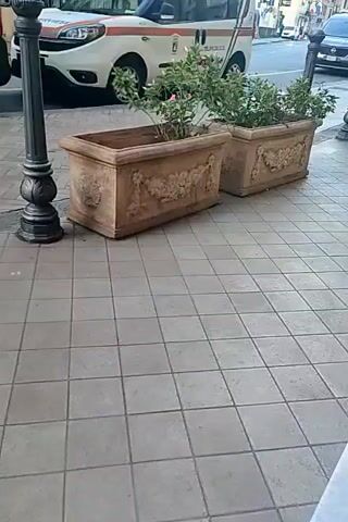 The video shows a street scene with two large rectangular planters containing green leafy plants with pink flowers. The planters are made of a terracotta-colored material and are decorated with intricate relief carvings of floral swags. The planters are situated on a light-colored tiled sidewalk. In the background, a white and blue ambulance is parked on the street. Further down the street, other vehicles and buildings are visible. The video pans slightly, showing the planters and the ambulance.