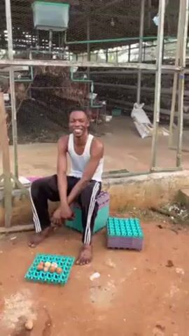 A young man sits on a green crate in front of a chicken coop. He is wearing a white tank top and black sweatpants with white stripes. He is barefoot. In front of him is a light blue egg crate with eggs in it, and to his right is a stack of light blue egg crates. He seems to be laughing or smiling. The chicken coop is visible behind him, with chickens inside. The ground is a mix of dirt and grass.  A bag of chicken feed is partially visible in the background. The camera zooms out slightly.