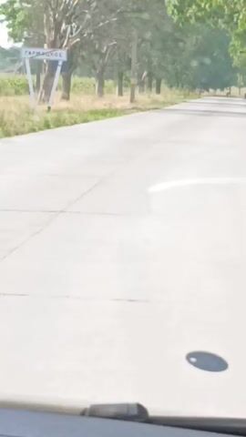 The video shows a POV shot from inside a vehicle traveling down a paved road. The road is lined with trees on both sides, with dry grass and some crops visible beyond the trees. A white sign with dark text is visible on the left side of the road at the beginning of the video. The sky is bright and appears to be daytime. The windshield wipers are visible in the foreground.