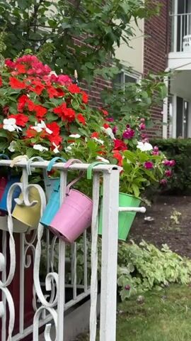 The video begins by showing a row of colorful metal watering cans hanging from a white railing with intricate scrollwork. The watering cans are pink, blue, and green, and they are filled with vibrant red and pink impatiens flowers. Behind the railing, a brick building with white trim is visible, along with lush green bushes and trees. The camera then pans to the right, revealing a lawn area with a large, mature tree. In the distance, a parking lot is visible with several cars parked, including a red minivan, a blue sedan, and a silver SUV. A tall lamppost with three lights stands in the parking lot. The video continues to pan, showing more trees and the sky.