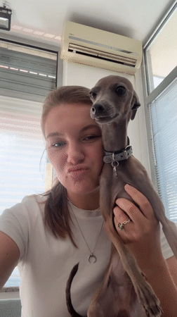 Sphynx cat and small dog at home in Belgrade