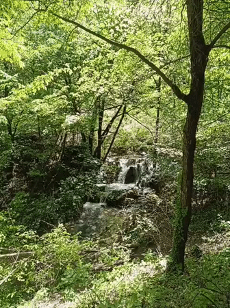 Morning nature walk documented near Bachkovo waterfall, Bulgaria