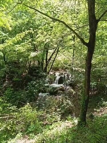 Morning nature walk documented near Bachkovo waterfall, Bulgaria