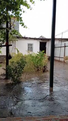 The video shows a courtyard during a rainstorm. The ground is wet and appears to have puddles. There are green plants and trees, with leaves appearing wet from the rain. A white mug sits on the wet ground near a vine-covered structure supported by posts. In the background, a white building with a window and a doorway is visible, along with a metal fence. The overall environment suggests a damp, outdoor setting.