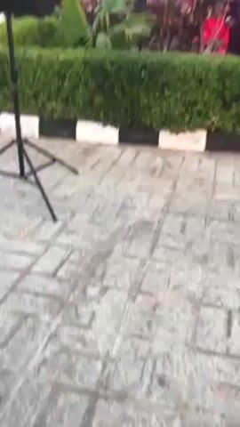 The video begins with a ground-level view of a paved walkway bordered by a hedge. The camera pans up to reveal a man in a dark suit standing near a woman in a red and floral outfit, both positioned near a hedge. The hedge is trimmed to be a neat rectangle. Behind the hedge are various plants with red and green leaves.  A security camera mounted on a pole is visible in the background. A photographer can be seen on the left with photography equipment. The photographer is instructing the man and woman in the video.