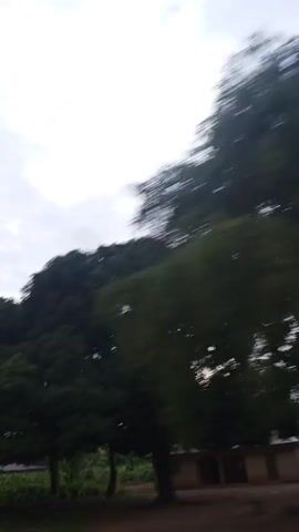 The video shows a view from a moving vehicle, looking upwards and to the side at trees and some buildings. The sky is overcast and cloudy. The trees are lush and green, and some appear to be very large. There are a few small, simple buildings visible, which appear to be made of mud or clay with thatched roofs. The vehicle is moving at a speed that causes the trees to appear blurry, suggesting it is traveling on a rough road or at a significant pace. The overall impression is of a rural or undeveloped area.