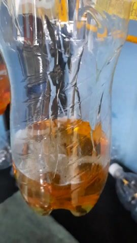A clear plastic bottle contains a mix of amber-colored liquid and foamy white substance at its base. The bottle's interior is visible through the clear plastic, displaying the texture of the liquid and foam. Additional bottles are partially visible in the background, adding to the laboratory or experimental setting. The surroundings are slightly cluttered, but the focus remains on the bottle and its contents.