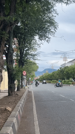 Morning traffic flows on tree-lined Banda Aceh street