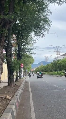 Morning traffic flows on tree-lined Banda Aceh street