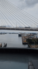 Tokai port: cable-stayed bridge and massive car export yard
