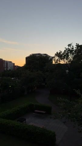 This is a vertical, slightly shaky, long-shot video of an urban park at dusk. In the foreground, a paved area has a picnic table with benches and a grill. A low, manicured hedge runs along the edge of the paved area. A winding path is visible beyond the paved area, leading towards the middle ground where several large, dark green trees create a dense canopy. Behind the trees, an apartment building or office building with a flat roof and several visible windows is silhouetted against a pale orange and blue sky. To the left of this building, a taller, reddish-brown brick building is visible. The sky transitions from a soft orange glow near the horizon to a pale blue at the top of the frame. The lighting suggests that the sun has recently set, casting long shadows and giving the scene a tranquil, twilight atmosphere. There are no people visible in the video. The camera angle is from an elevated position, looking down into the park.