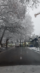 Winter snow blankets Tbilisi streets during early morning hours