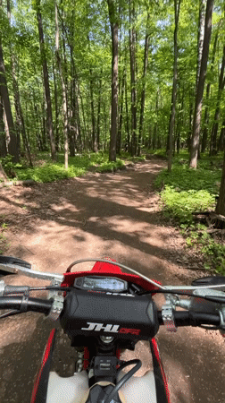 Dirt bike rider travels forest trail in Vasilyevo