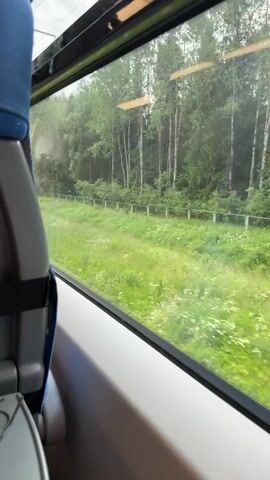 The video shows the view from a train window as it travels through a lush green landscape. The window is framed by the interior of the train, with a blue seat visible on the left and a grey folding table on the right. On the table, there is a bottle of water, a snack wrapper, and a pair of glasses. Outside the window, a dense forest of green trees stretches into the distance, with a field of tall grass in the foreground. A thin metal fence runs along the edge of the forest. The lighting suggests it is daytime, likely overcast or with soft sunlight filtering through the trees. The train appears to be moving at a steady pace, indicated by the slight blur of the passing scenery.