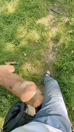First-person walk on a grassy path with two Malinois