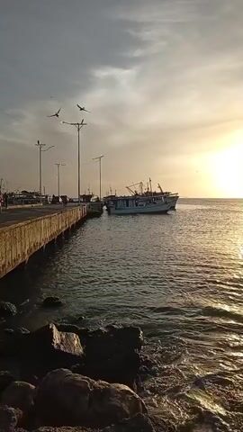 Here's a description of the video:

The video shows a concrete pier stretching out into the ocean at sunset. Several people are visible on the pier, including a couple standing near a light post. There are other boats docked in the distance. Two young children are playing on the rocks near the pier. Several birds are flying in the sky. The sun is setting in the distance, creating a bright glare on the water. The camera pans across the scene, showing different angles of the pier, people, and ocean view.