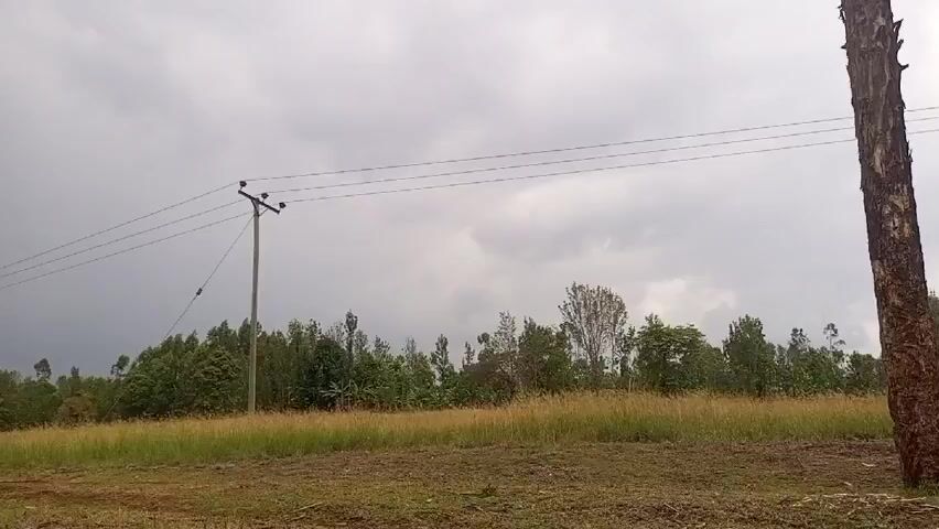 The video shows a rural landscape on a cloudy day. In the foreground, there's a patch of grassy land, partly brown with some exposed soil. To the right, a tree trunk stands, its bark rough and textured. A line of trees, mostly green, stretches across the middle distance. A utility pole with power lines running parallel to the horizon is visible on the left side of the frame. The sky is overcast, filled with grey clouds. There are no people visible in the scene.