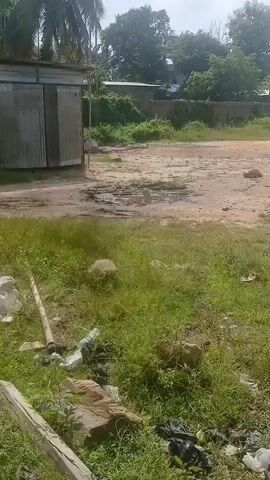 The video pans across an outdoor scene. In the foreground, there is a patch of green grass littered with debris including plastic bottles, black plastic bags, and bricks. A thin wooden pole is also visible. Behind this area, there is a patch of dirt with some puddles. Further back, a low, gray building with a corrugated metal roof is visible on the left. A concrete wall runs horizontally across the middle ground. Beyond the wall, there is an area of green grass and trees. In the distance, several structures with pitched roofs are visible among the trees, suggesting a rural or semi-rural setting. The sky is bright and overcast. The camera movement is a slow pan from left to right.