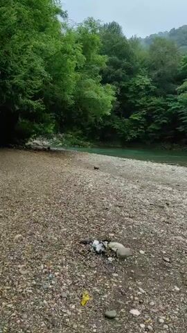 A riverbank is shown with a rocky shore and lush green trees in the background. The river itself is clear and flowing. A large, fallen log lies on the shore in the foreground. Some trash is visible on the rocky shore.