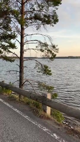 The video shows a point of view perspective from a person riding a bicycle along a paved road that runs next to a large body of water. Trees line the road and the water's edge. The sun is low in the sky, casting a warm light on the scene, suggesting it is either sunrise or sunset. The road is in good condition and appears to be in a rural or natural setting. There are no other people or vehicles visible in the video. The water is calm with small ripples, reflecting the sky and trees. A wooden guardrail separates the road from the water in some sections. The trees are a mix of pine and deciduous varieties. The sky is partly cloudy.