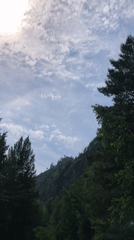 Morning sky documented over Russian forest near Cheremushki