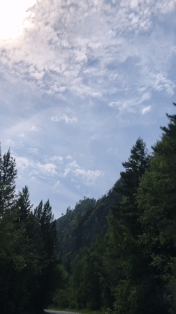 Morning sky documented over Russian forest near Cheremushki