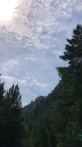 Morning sky documented over Russian forest near Cheremushki