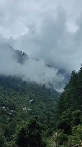 The video shows a steep, green mountainside covered in lush vegetation and trees. Thick, white clouds are moving across the sky and partially obscuring the upper reaches of the mountain. There are small buildings or structures visible on the mountainside, scattered amongst the trees and vegetation. The overall impression is one of a remote, mountainous landscape, possibly in a rural or undeveloped area, with a cloudy or misty atmosphere.