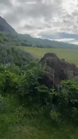 Okay, here's a description of the video:

The video begins with a shot of a green, hilly landscape under a cloudy sky. The foreground shows a grassy area with wildflowers, including purple lupines. A large rock formation is visible amidst the greenery. 

The camera then pans to an individual in a black jacket and gray hoodie kneeling on the grass. They are preparing food. The camera angle shifts to an overhead view, revealing camping equipment spread out on the grass. The gear includes a portable stove, a frying pan, metal cups, a carton of eggs (with six eggs), food packaging, a cutting board, and what appears to be a small red mat.

The person is seen opening a package of food. The background remains the same lush, green landscape.
