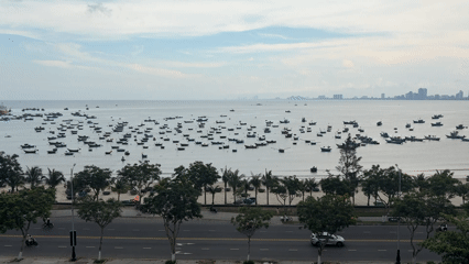 Morning traffic flows along Đà Nẵng's palm-lined coastal road