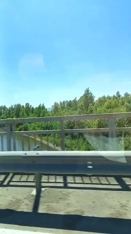 The video shows a view from a moving vehicle, likely a car, as it travels over a bridge. The perspective is from the passenger side, looking out towards a river and a landscape of trees and greenery under a clear blue sky. A metal guardrail is visible in the foreground, partially obscuring the view of the river and the opposite bank. The river appears calm with sunlight reflecting off its surface. On the far bank, a dense line of trees stretches horizontally across the frame. As the vehicle continues, the view shifts, revealing more of the natural environment. A road sign is briefly visible on the right side of the frame, and a side mirror of the vehicle is also present. The overall scene depicts a journey through a natural, rural or semi-rural setting during daylight.